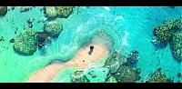 moana_84.jpg