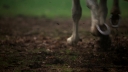 Once_Upon_A_Time_S04E23_1080p_0036.jpg