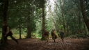 Once_Upon_A_Time_S04E23_1080p_0042.jpg