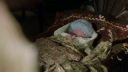 Once_Upon_A_Time_S04E23_1080p_0047.jpg