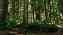 Once_Upon_a_Time_S03E22_KissThemGoodbye_Net_0473.jpg