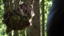 Once_Upon_a_Time_S03E22_KissThemGoodbye_Net_0538.jpg