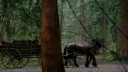 Once_Upon_a_Time_S03E22_KissThemGoodbye_Net_0650.jpg