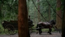 Once_Upon_a_Time_S03E22_KissThemGoodbye_Net_0651.jpg