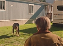 kissthemgoodbye_net_twin_peaks_s03e11_2822529.jpg