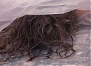 tp101-0057.jpg