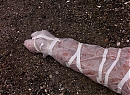 tp101-0115.jpg